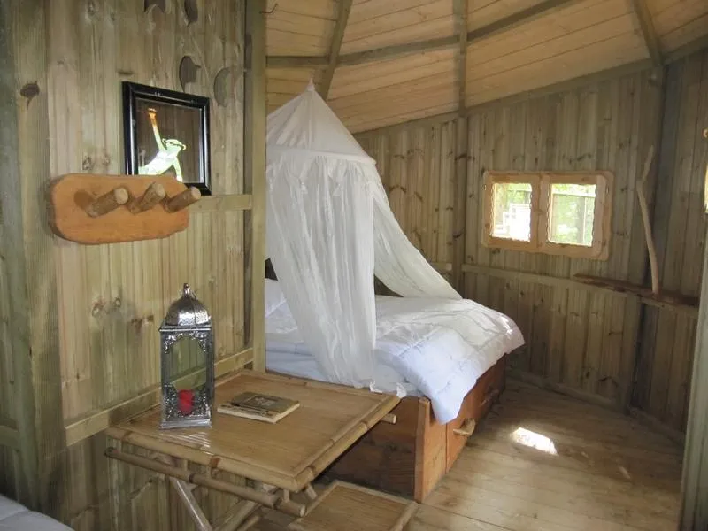 Cabane Familiale Des Chimpanzés (À Partir De 2 Ans)