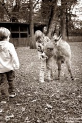 Foto #17 van Le Parc de la Belle