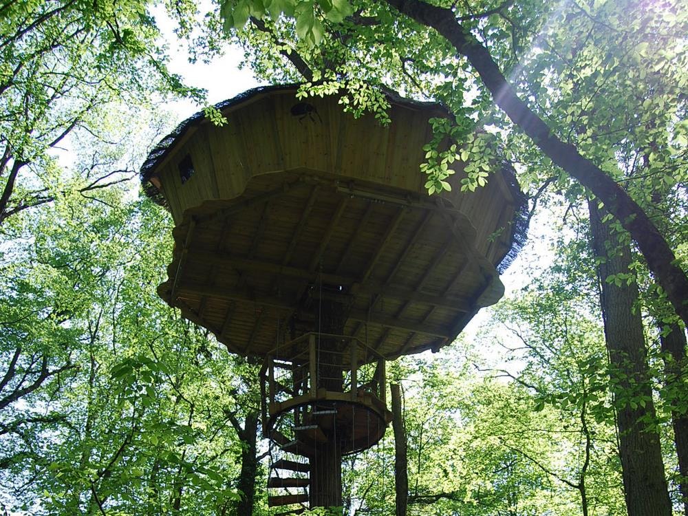 Le Parc de la Belle — Photo 4