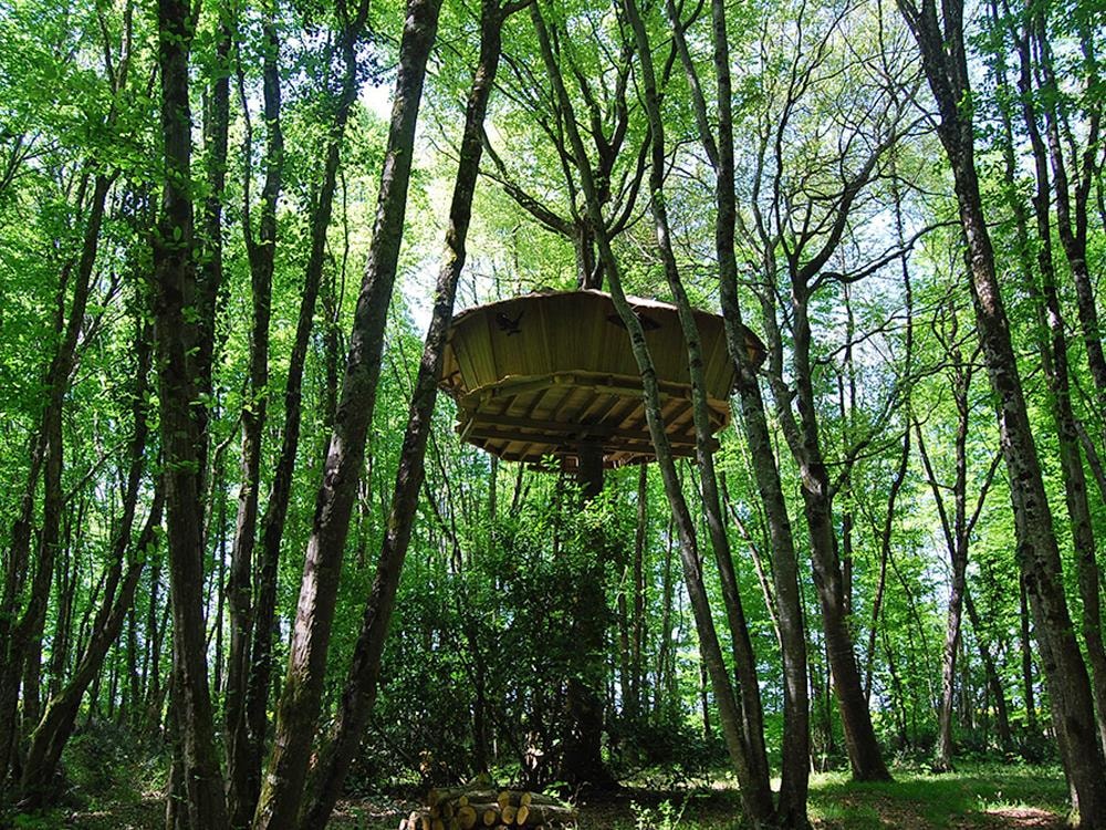 Le Parc de la Belle — Photo 5
