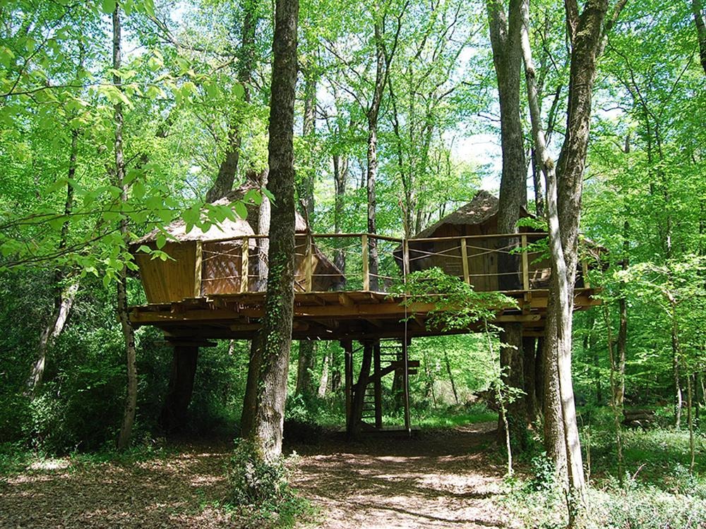 Le Parc de la Belle — Photo 7