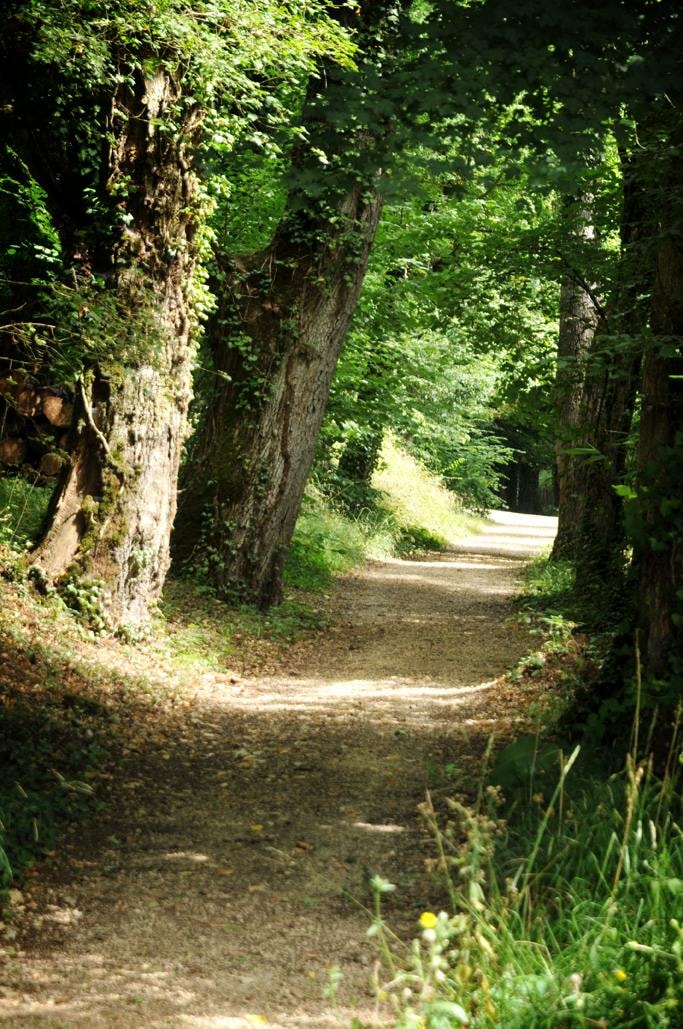 Le Parc de la Belle — Photo 9
