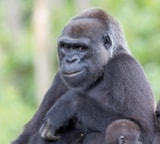 Foto #24 van Le Parc de la Belle