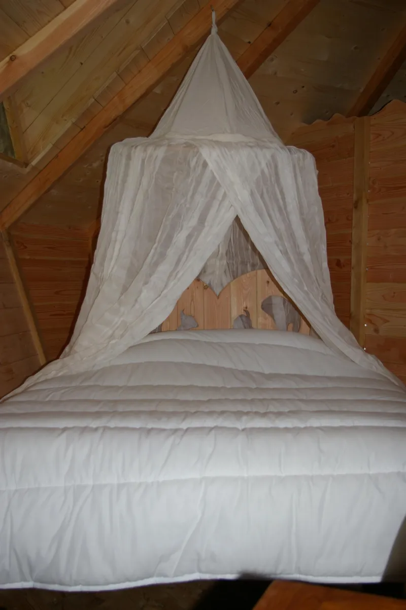 Cabane Familiale Des Écureuils (À Partir De 2 Ans)