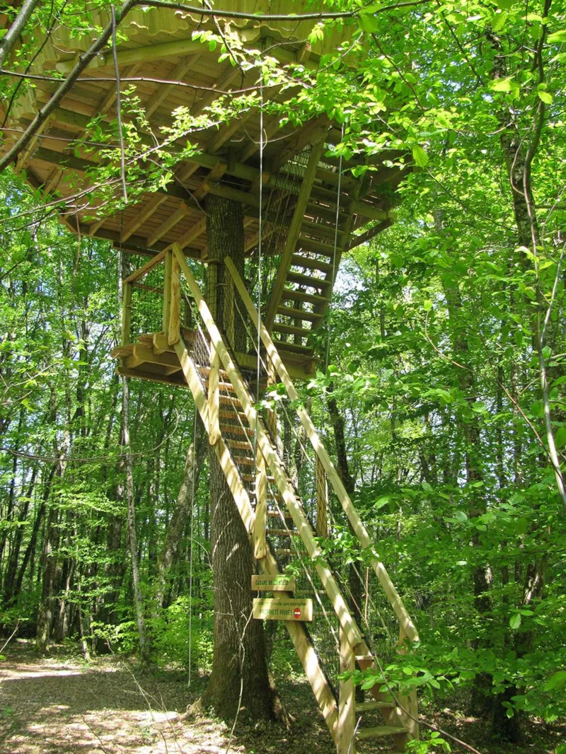 Cabane De La Belle (À Partir De 12 Ans)