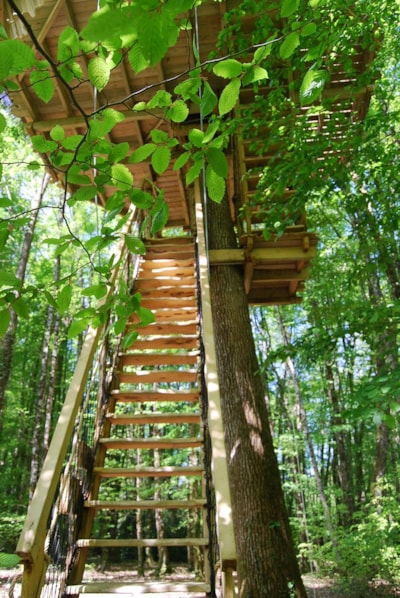 Wooden hut ESCALIER DE LA BELLE — 3