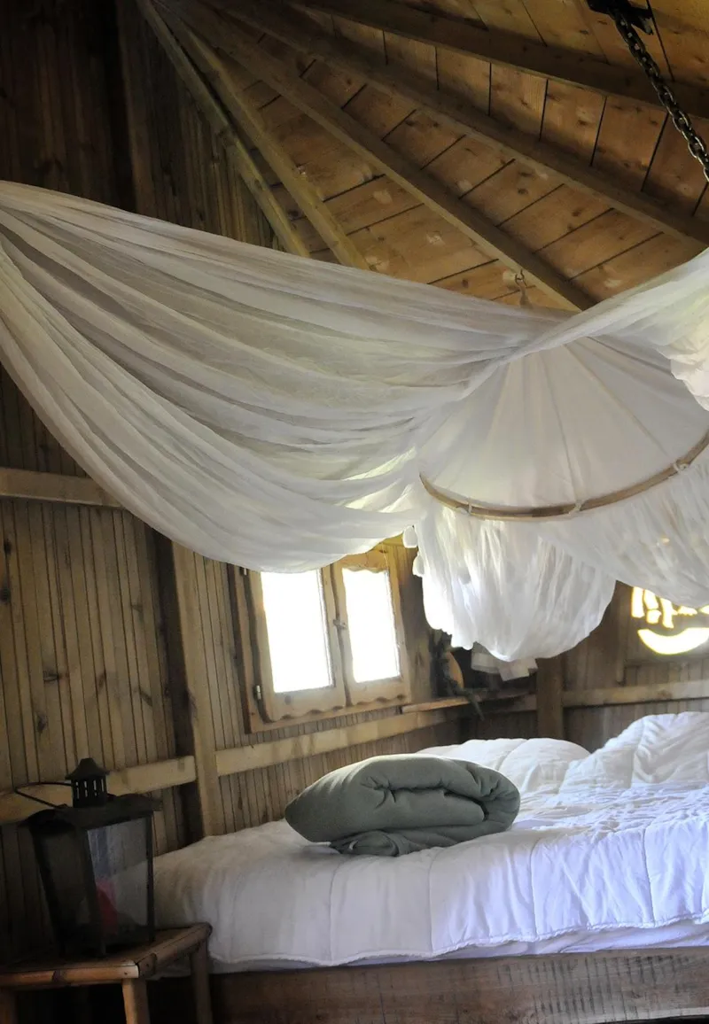 Cabane Des Lémuriens (À Partir De 12 Ans)