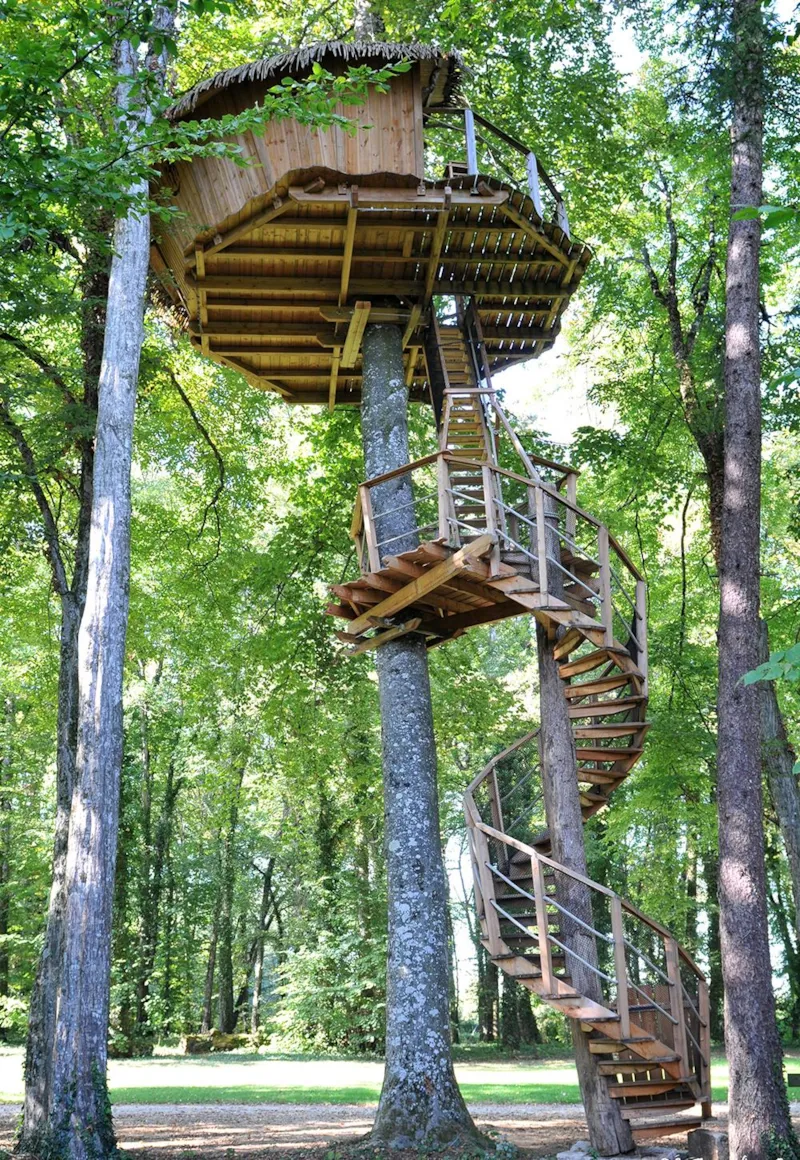 Cabane Des Lémuriens (À Partir De 12 Ans)
