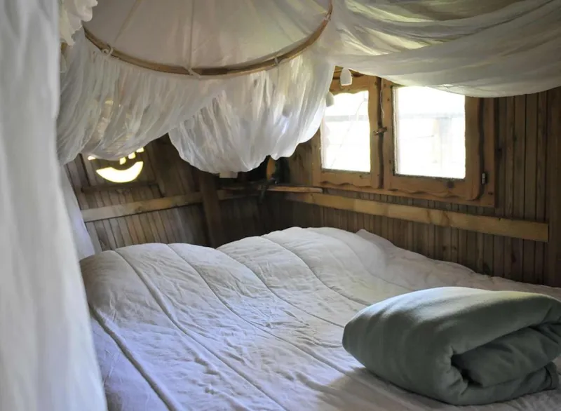 Cabane Des Lémuriens (À Partir De 12 Ans)
