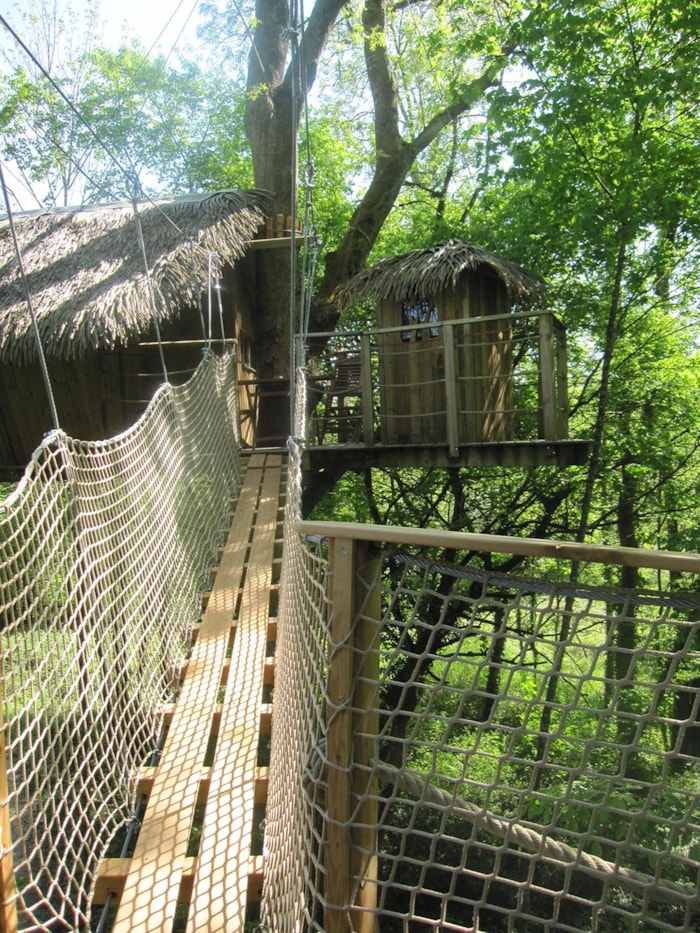 Cabane À Pont De Singe Des Gorilles (À Partir De 12 Ans)