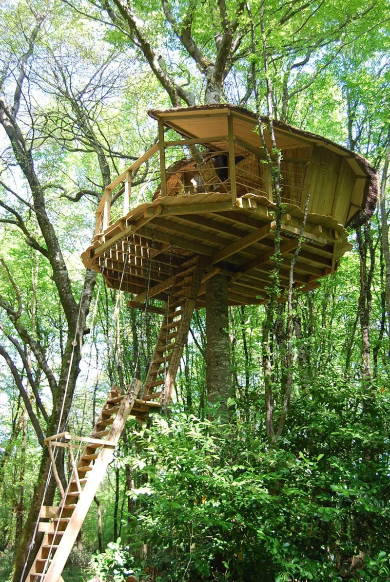 Cabane De La Hulotte (À Partir De 12 Ans)