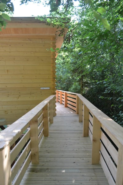 Lodge Azur (adapted to the people with reduced mobility) — 9