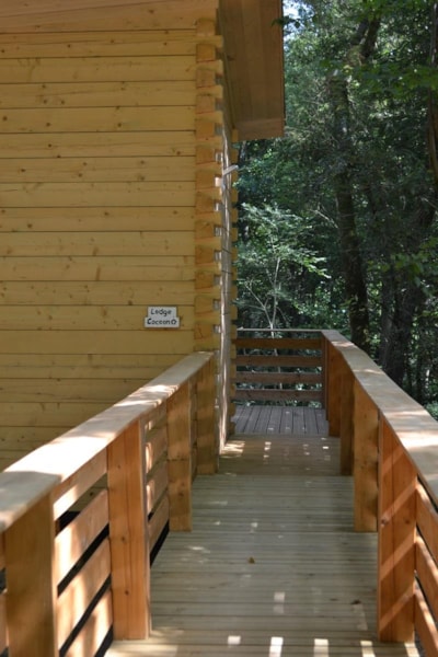 Lodge Cocoon (adapted to the people with reduced mobility) — 8