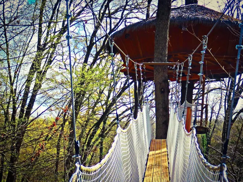 Cabane De La Canopée (À Partir De 6 Ans)