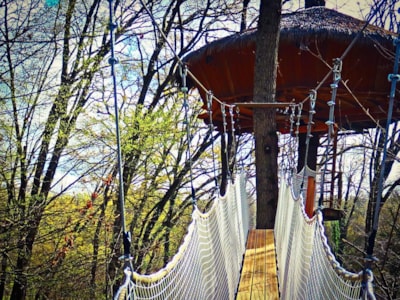 Wooden hut PONT DE SINGE DE LA CANOPEE — 1
