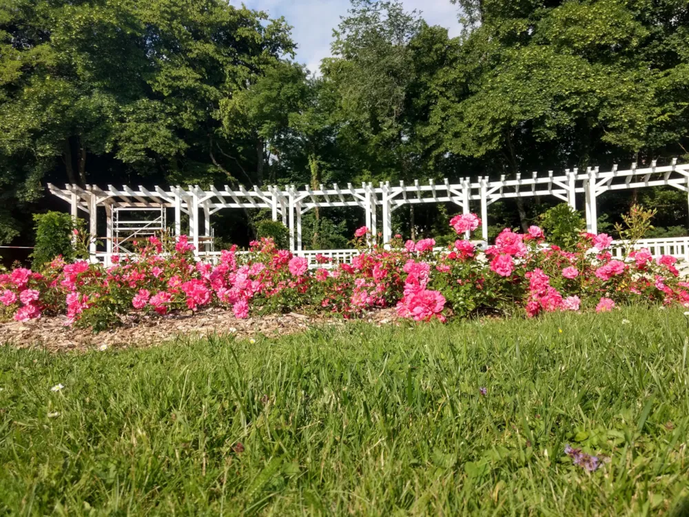 Camping Seasonova Vittel - image n°13 - UniversalBooking