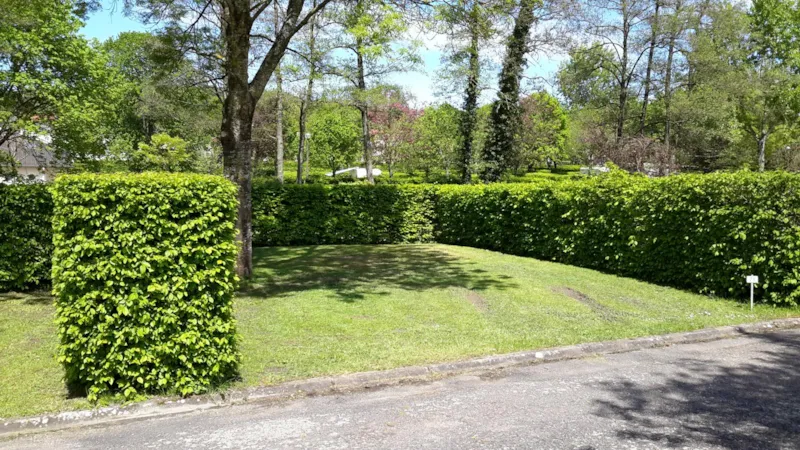 Forfait Confort : 2 Pers + 1 Véhicule + Électricité