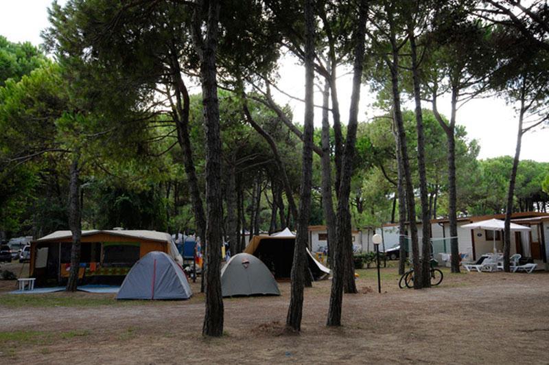 Emplacement - Emplacement Type B - Camping village Cavallino