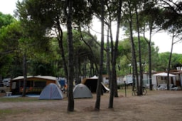 Kampeerplaats(en) - Standplaats Premium - Camping Village Cavallino