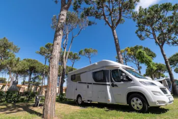 Stellplatz - Stellplatz Premium - Baia Holiday Cavallino