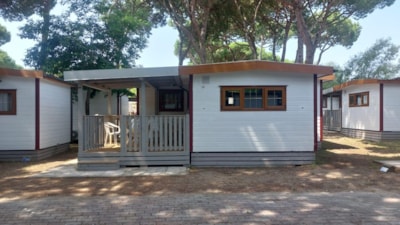 Baia Lux Evolution — 2