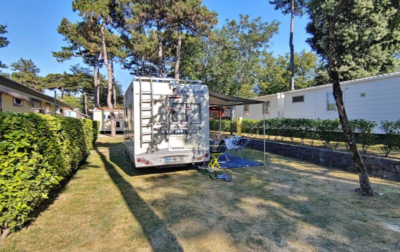 Piazzola Premium