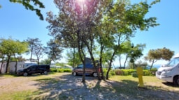 Camping Village Mare Pineta - image n°1 - UniversalBooking