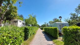 Camping Village Mare Pineta - image n°8 - UniversalBooking