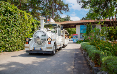 Baia Holiday Mare Pineta