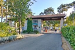 Camping Village Mare Pineta - image n°6 - UniversalBooking