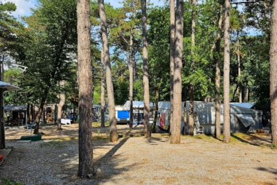 Pitch Pineta Platz — 2