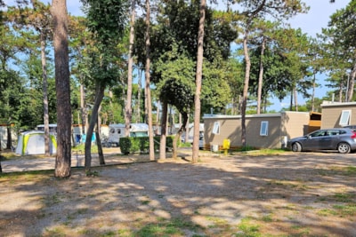 Pitch Pineta Platz — 3