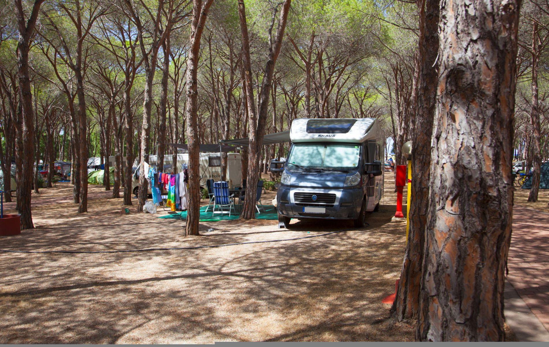 Emplacement - Emplacement Type B - Camping Baia Blu la Tortuga
