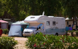 Miejsce postojowe - Pitch Premium - Camping Village Baia Blu la Tortuga