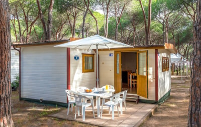 Baia Lux — 1