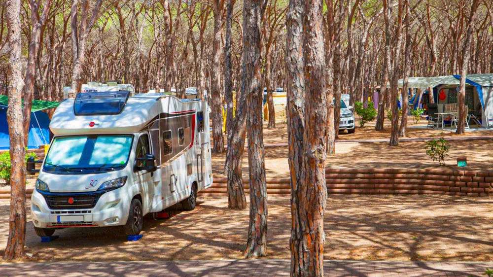 Pitch - Pitch Premium - Baia Holiday Baia Blu la Tortuga