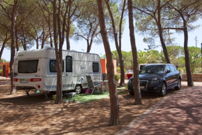 Pitch Pineta Platz — 2
