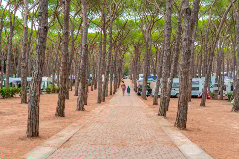 Piazzola Pineta Platz