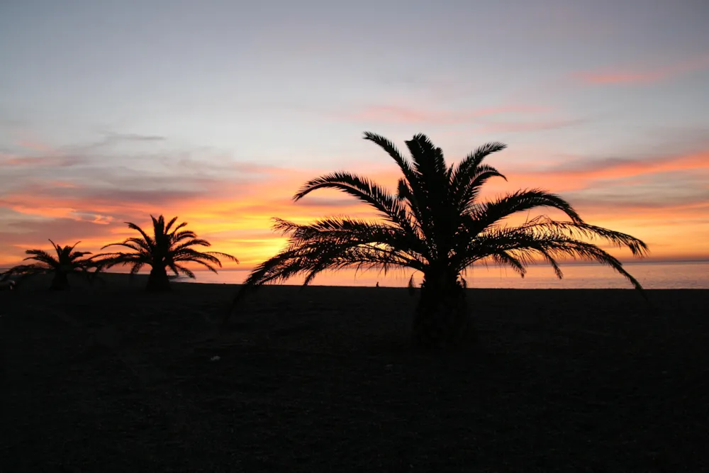 Camping Bungalows Don Cactus