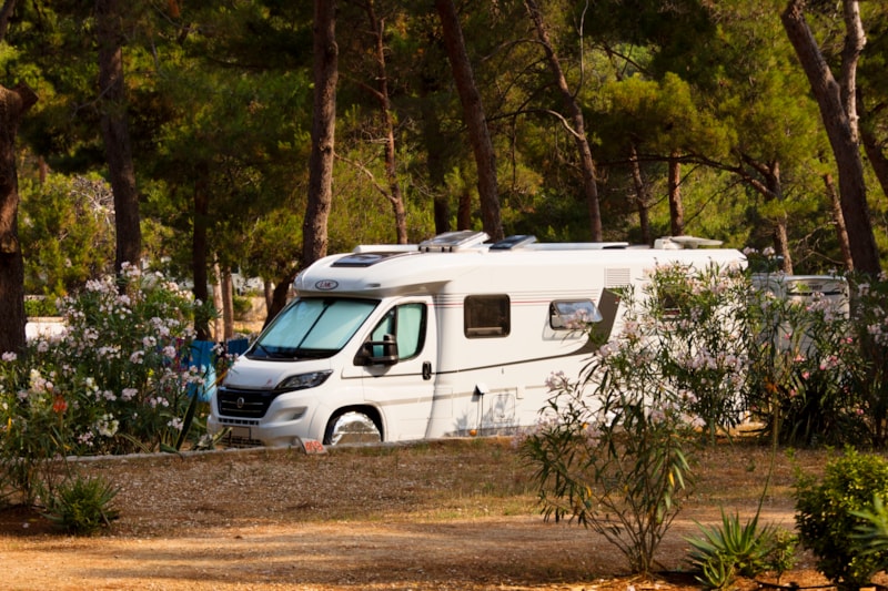 Camping Village Poljana photo 3