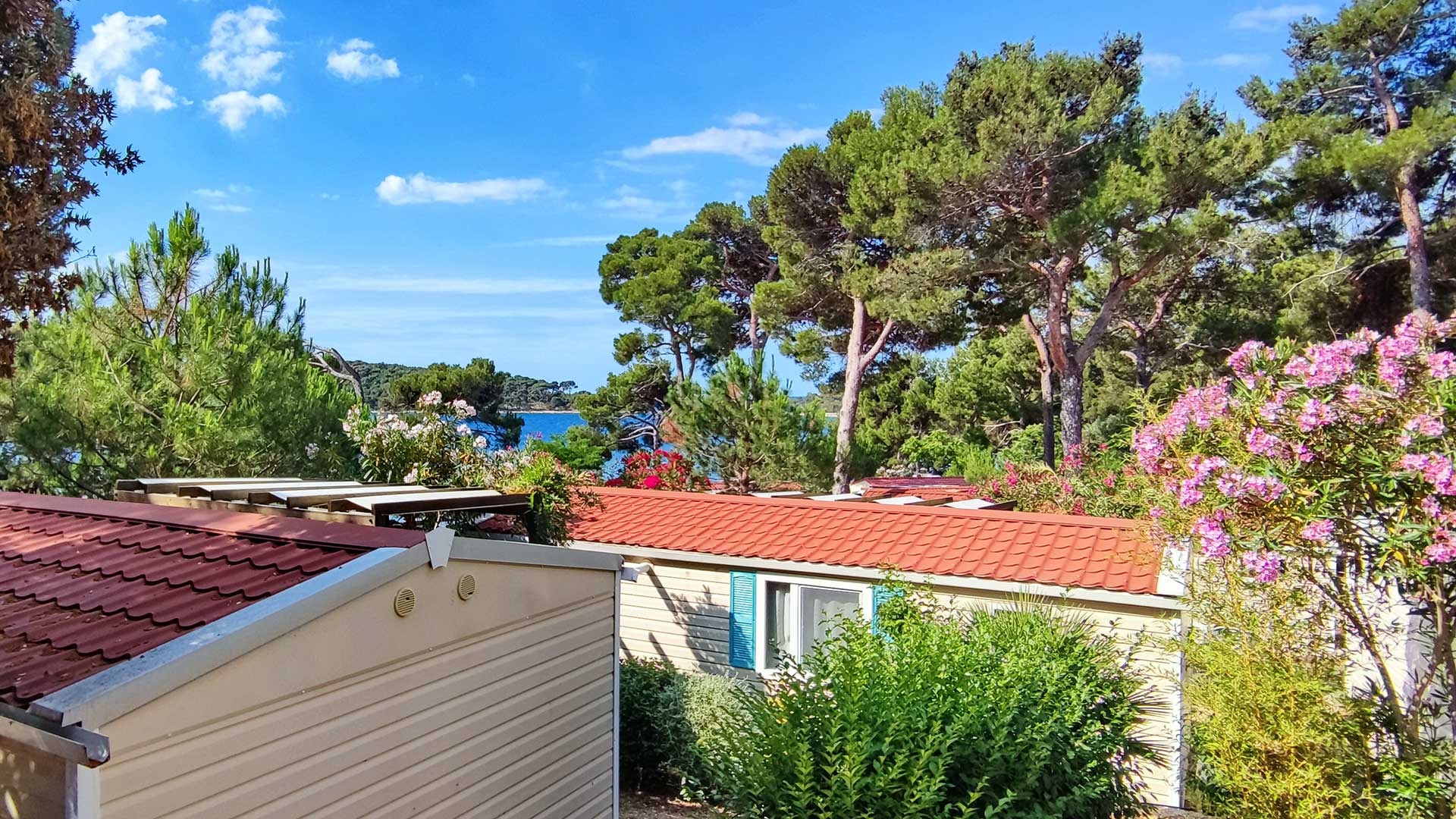 Baia Holiday Poljana — Foto 2