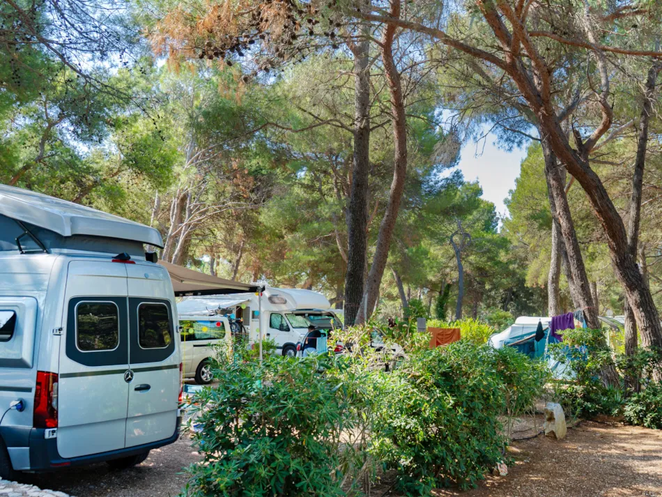 Baia Holiday Poljana