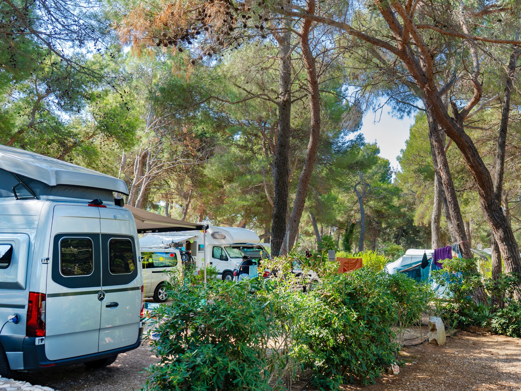 Baia Holiday Poljana — Foto 10