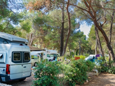 Baia Holiday Poljana