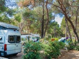 Foto #10 van Baia Holiday Poljana