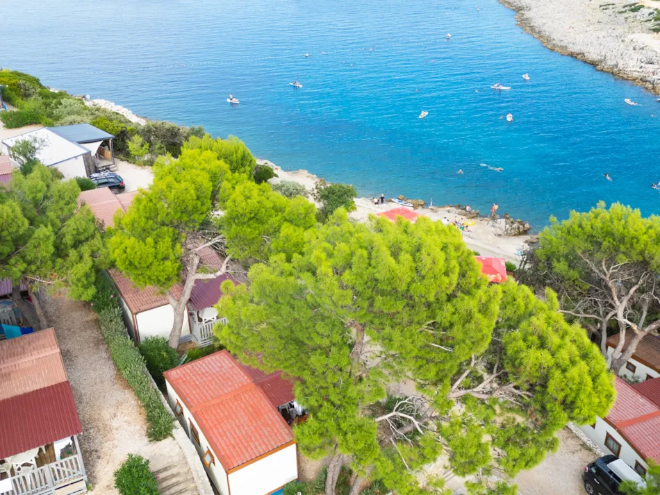 Baia Holiday Poljana