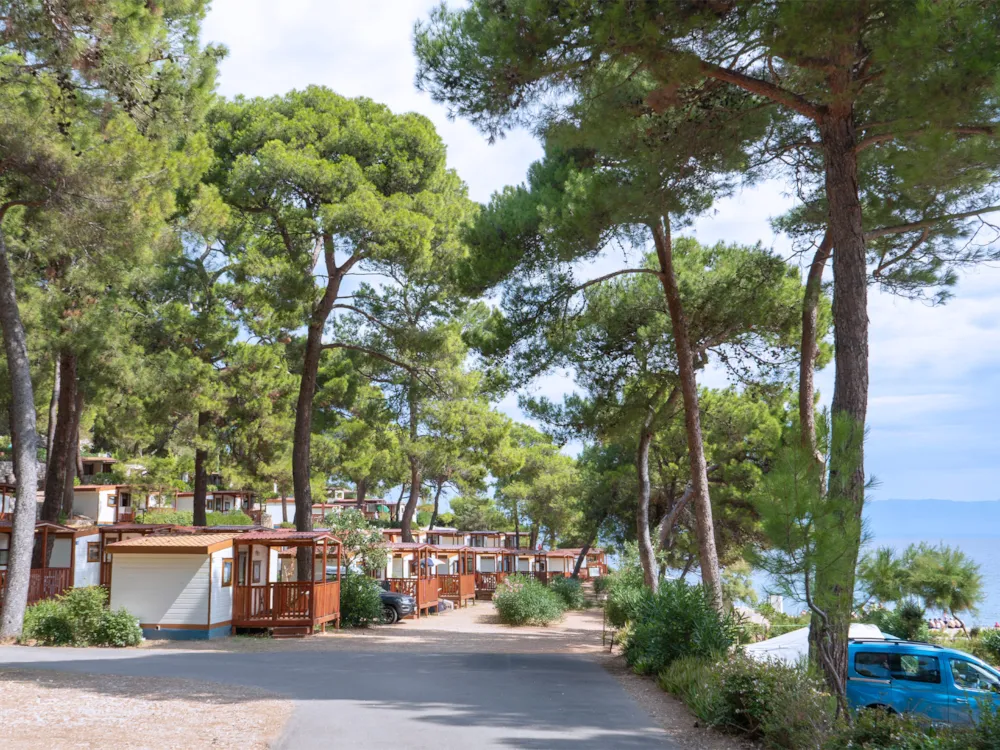 Baia Holiday Poljana - image n°24 - UniversalBooking