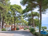 Foto #24 van Baia Holiday Poljana
