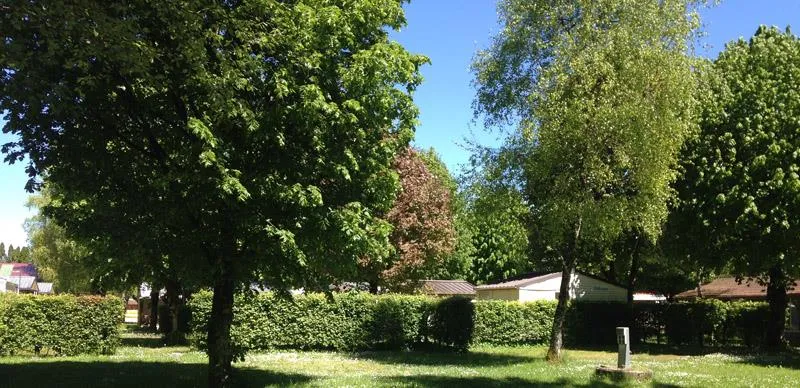 Emplacement Confort  (+ Électricité 10A)