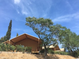 Accommodation - Glamping - Camping Vell Emporda